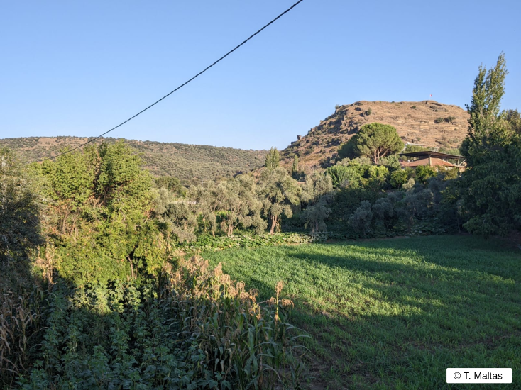 yrarchaeometry's tweet photo. 📢Next YRA Seminar: Tom Maltas (University of Oxford, UK)

📅Date: Jan. 10th at 3:00pm (UTC)   

📚Title: "Archaeobotany and social change in the Neolithic and Bronze Age Aegean: perspectives from the eastern fringes" https://t.co/2EzxAn36tD