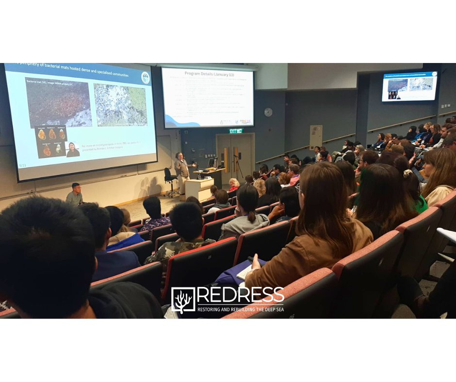 Redress Project tweet media