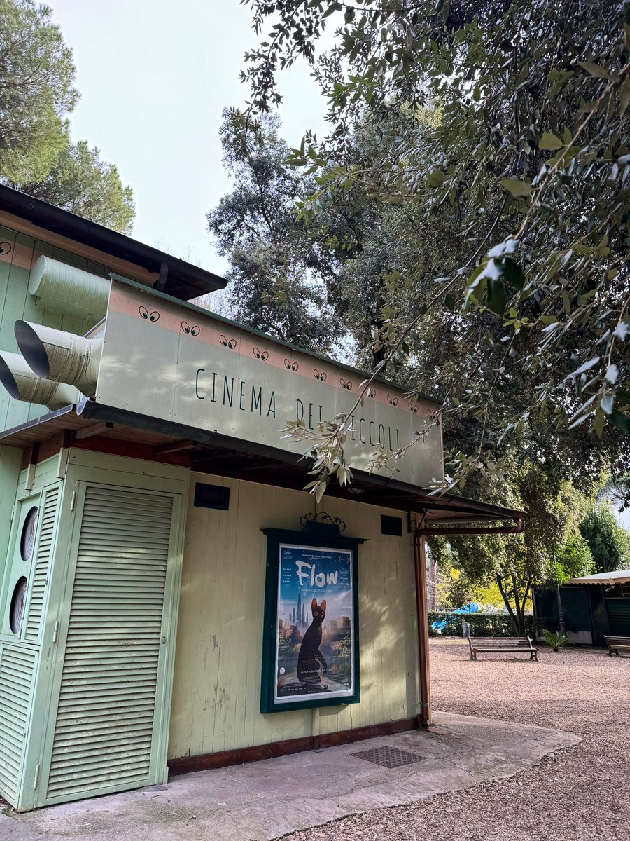 Straume Romā! #flow #straume