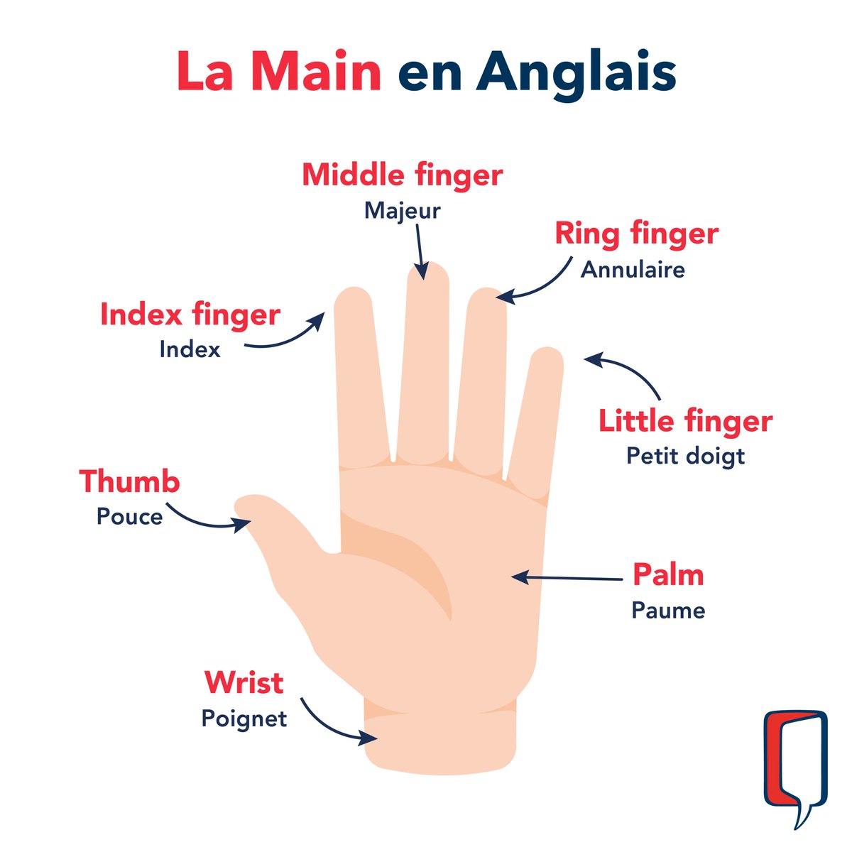 Connaissez-vous les doigts de la main en anglais ? 👋

En savoir plus sur les parties du corps : wallstreetenglish.fr/fiches-anglais…