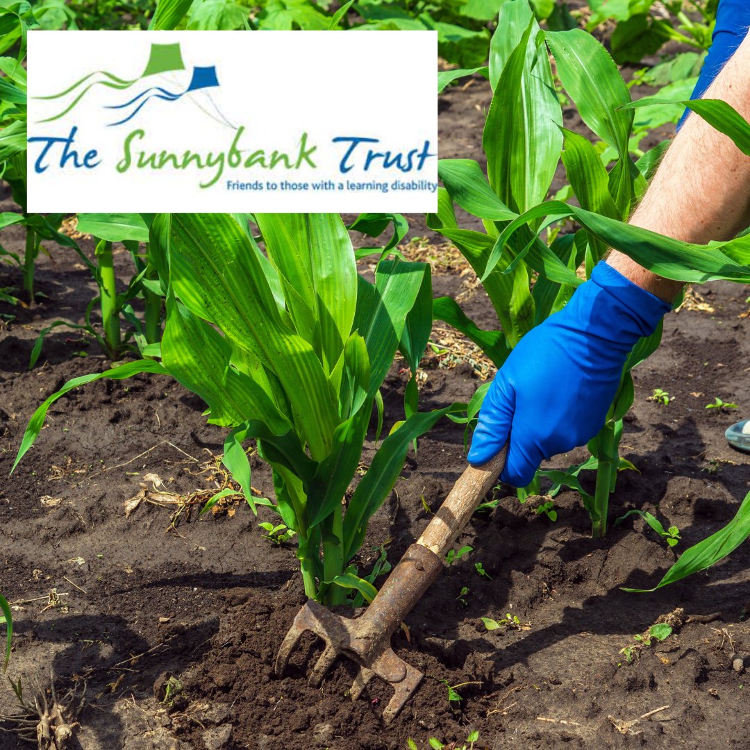 Central Surrey Voluntary Action (@csvaction) on Twitter photo Are you green-fingered?
<a href="/SunnybankEpsom/">Sunnybank Trust</a> are looking for allotment assistant volunteers to pass on their knowledge and enthusiasm to others.
If you love being outdoors and have a few hours to spare, take a look at the full details here:
tinyurl.com/y8msa9ja
#volunteering Are you green-fingered?
<a href="/SunnybankEpsom/">Sunnybank Trust</a> are looking for allotment assistant volunteers to pass on their knowledge and enthusiasm to others.
If you love being outdoors and have a few hours to spare, take a look at the full details here:
tinyurl.com/y8msa9ja
#volunteering