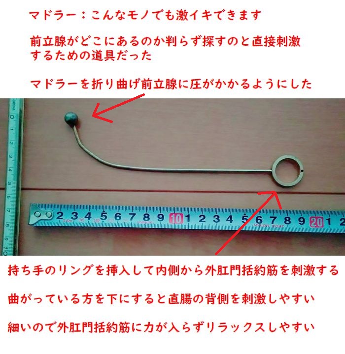prostate727's tweet photo. 外肛門括約筋

中から外肛門括約筋を刺激する

直腸の背側から仙骨尾骨を同時に外側からも刺激すると尾骨から背中へと快楽が登り

手腕の痙攣・胸や舌の硬直・首振り痙攣になり易い

脳天にも直撃してすぐに脳イキになる
#ドライオーガズム #アナル https://t.co/asNjIhwN9y