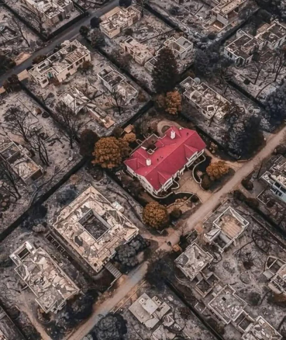 🇺🇸Lionel🇺🇸 tweet media