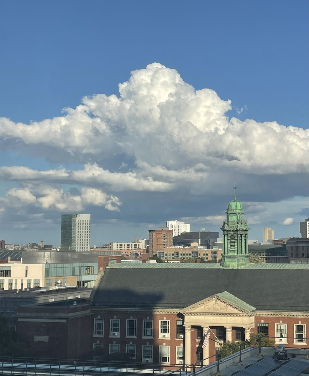 Iñigo Landa tweet media