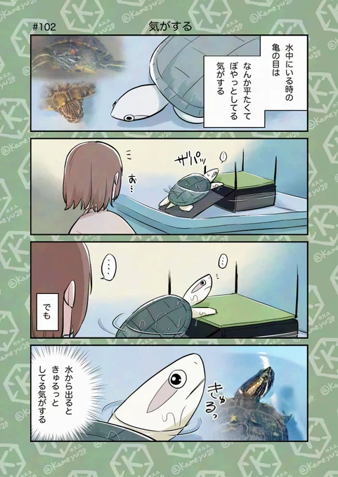 亀飼い4コマ「気がする」
気がするだけかもしれない。 