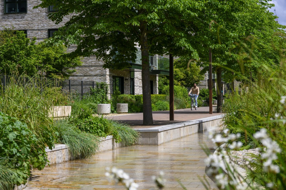 Zag Daily tweet media