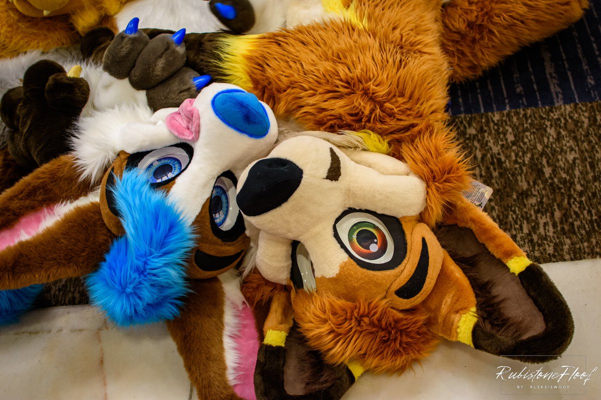 Bodie ! π FWA (@_bodieblue) on Twitter photo folfskies give the best snugs!
πΎ: <a href="/theBattercake/">Name cannot be blank</a>
π·: <a href="/aleksiswoof/">π³π± Aleksis π Defqon.1 π³π±</a>
#MoreFurLessMonday folfskies give the best snugs!
πΎ: <a href="/theBattercake/">Name cannot be blank</a>
π·: <a href="/aleksiswoof/">π³π± Aleksis π Defqon.1 π³π±</a>
#MoreFurLessMonday