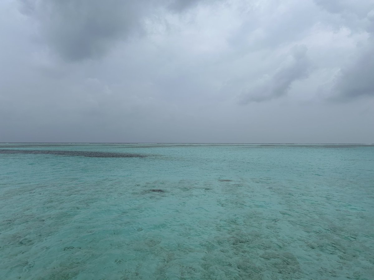 5sbhTakuya's tweet photo. もう既に帰りたくないと思えるくらい快適です🇲🇻
#Maldives https://t.co/hlNHHE9rGZ