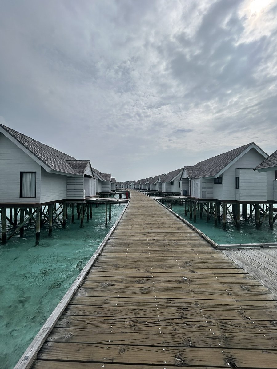 5sbhTakuya's tweet photo. もう既に帰りたくないと思えるくらい快適です🇲🇻
#Maldives https://t.co/hlNHHE9rGZ
