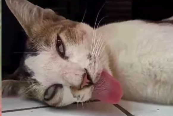 Iseng pulang lewat bekasi eh macetnya buseet..