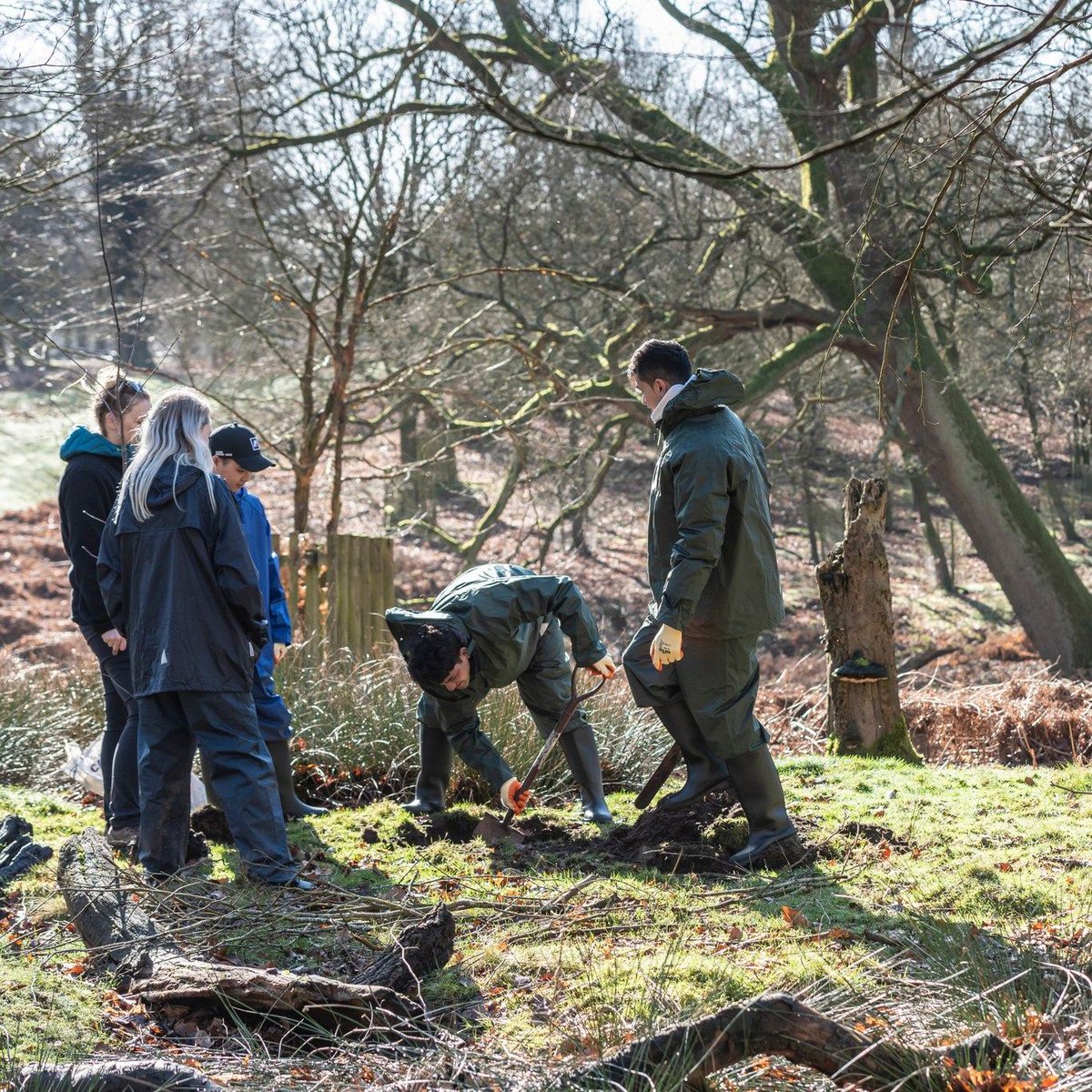 Cotehele NT tweet media
