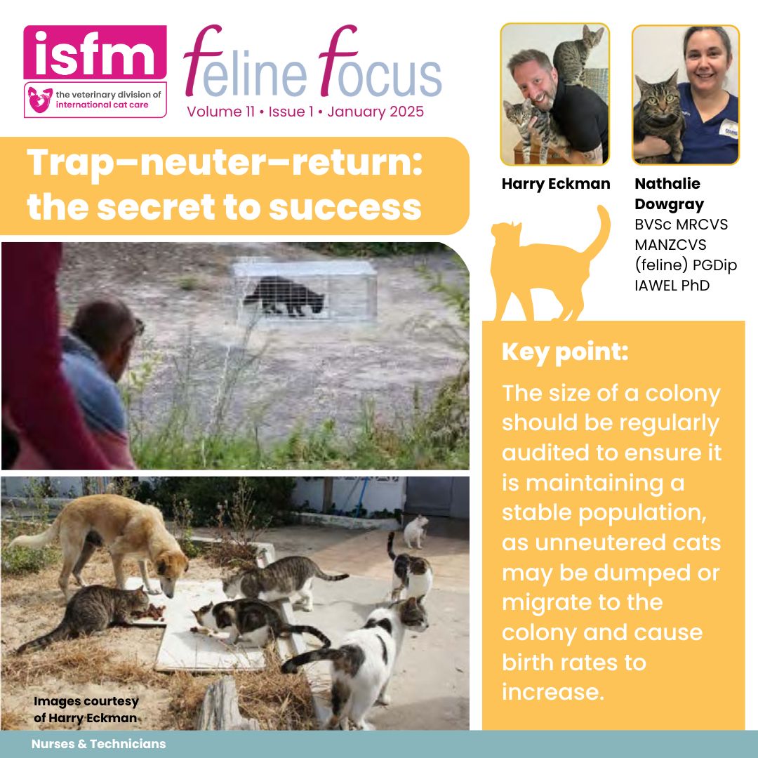 🐈 In January's #FelineFocus shelter medicine special, our experts Nathalie Dowgray and Harry Eckman talk through the secrets to a successful trap-neuter-return #TNR programme.

📖 Login and read here forum.icatcare.org/communities/co…