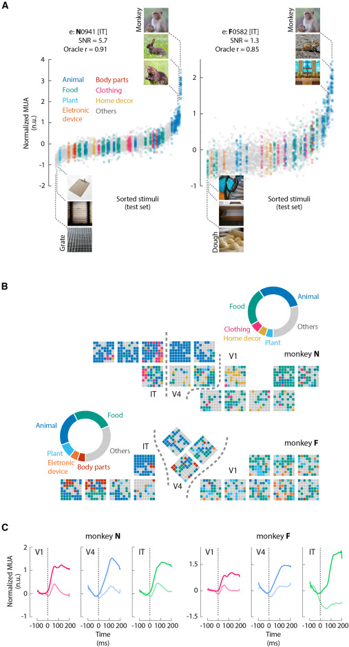 Online now:  An extensive dataset of spiking activity to reveal the syntax of the ventral stream dlvr.it/THKvYX