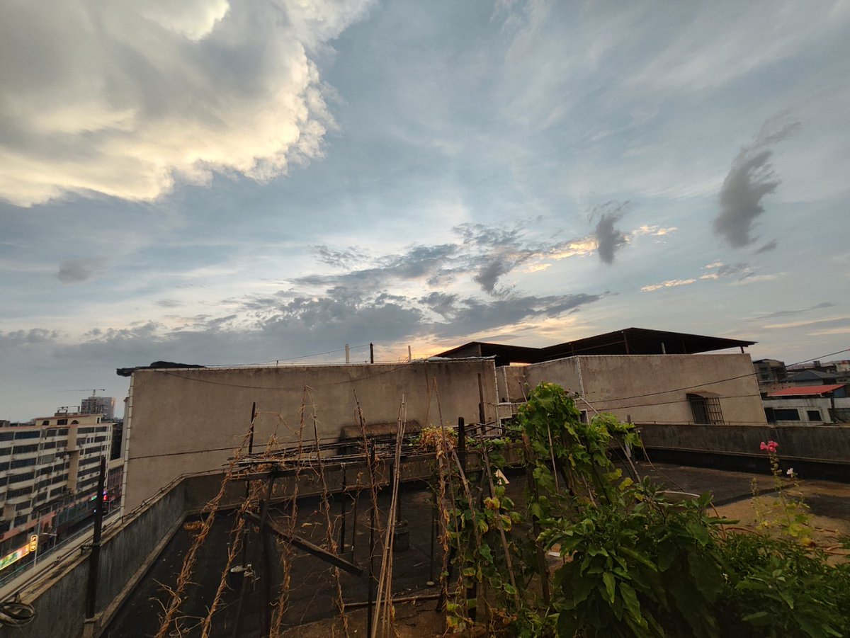 烛短不照来时路，提灯造访前道春
（自己写的，不喜勿喷）