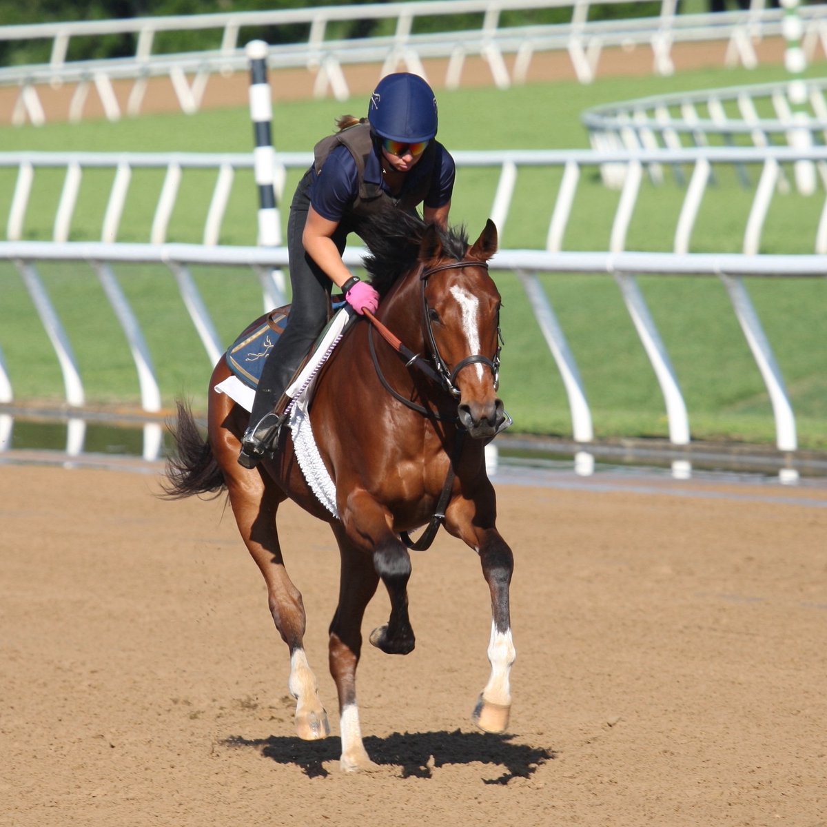 StonestreetFarm's tweet image. A fantastic weekend for Stonestreet connections!
🌟 #Homebred JULIA SHINING began her five-year-old season with a strong 2nd-place finish in the Ladies S.
🌟 #BredAndRaised COSTA AMALFITANA earned her maiden victory in style.
🌟 SCARLET POPPY (IRE) delivered an impressive