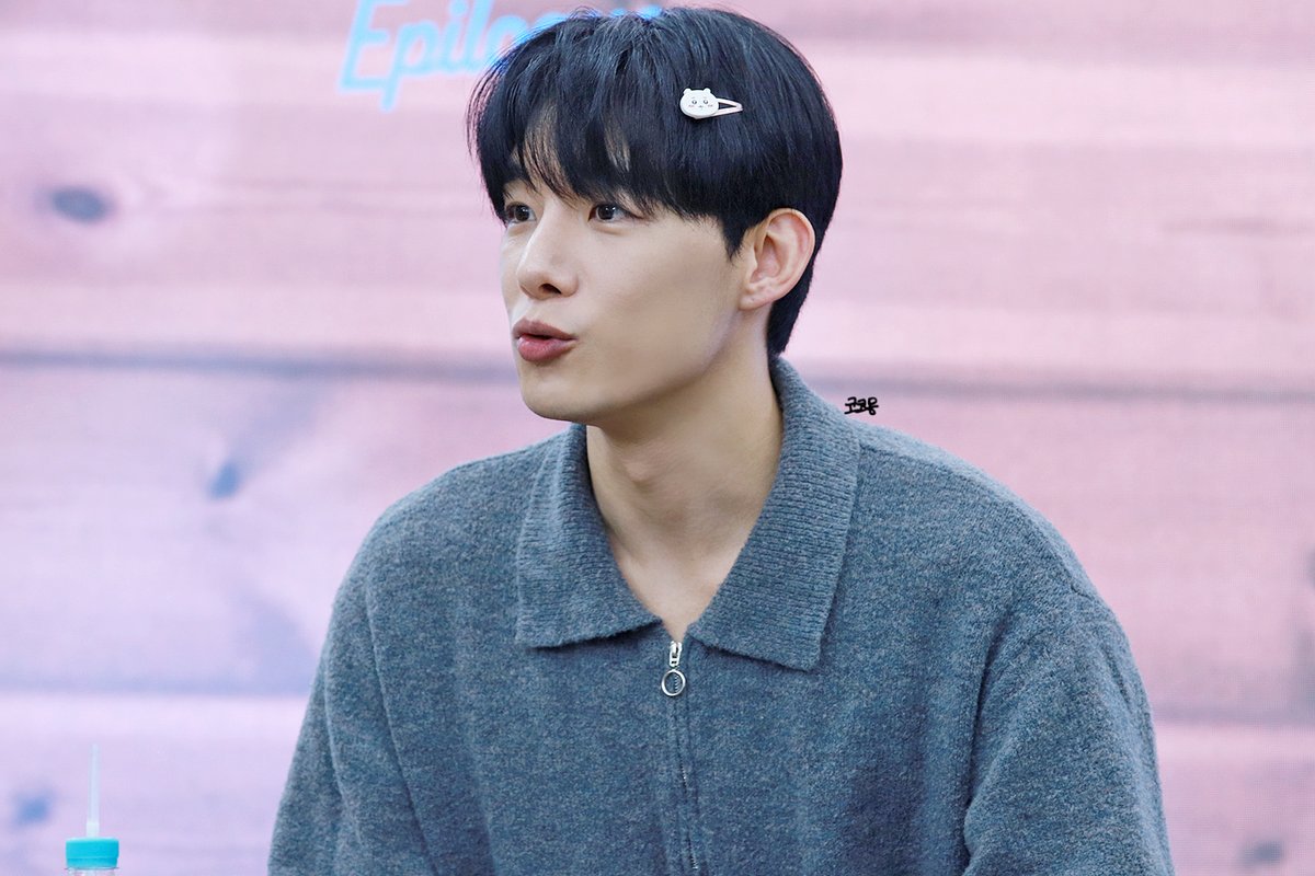 사진찍는 코몽 tweet media