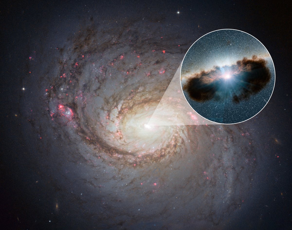 Could our universe be filled with hidden black holes that we've not spotted before? 

Our academics have been working with NASA – and what they found is out of this world. 

Read more 👉 brnw.ch/UoS_News_space…