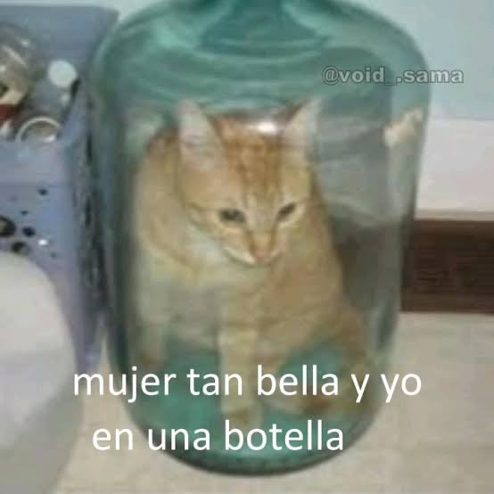 BowlOf_Oranges's tweet photo. Este pues https://t.co/rWieCBi1A2