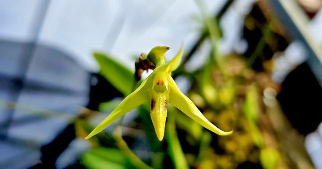 Eric Boyle tweet media