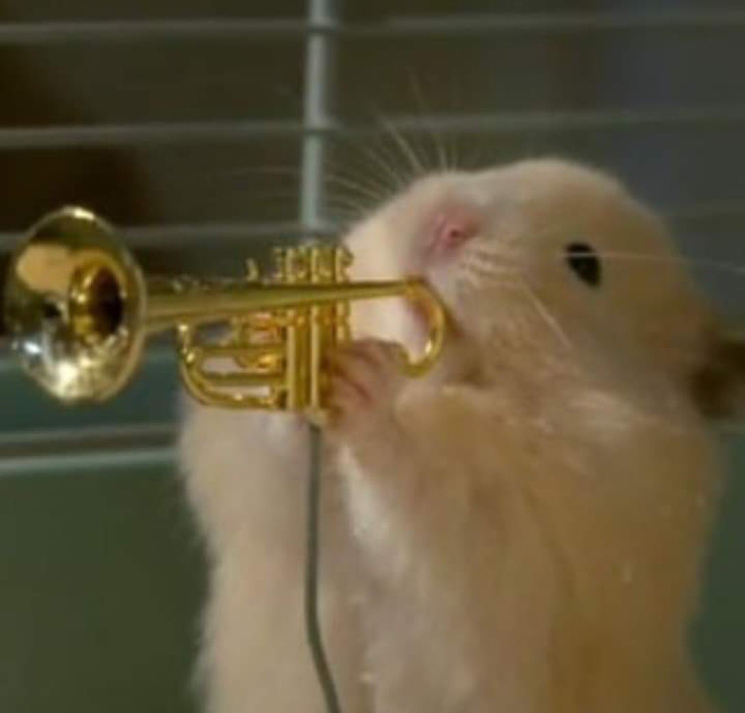 juju ˚.⋆𖦹⭒ tweet media