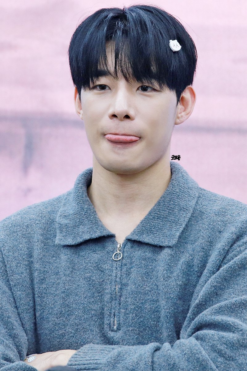 사진찍는 코몽 tweet media