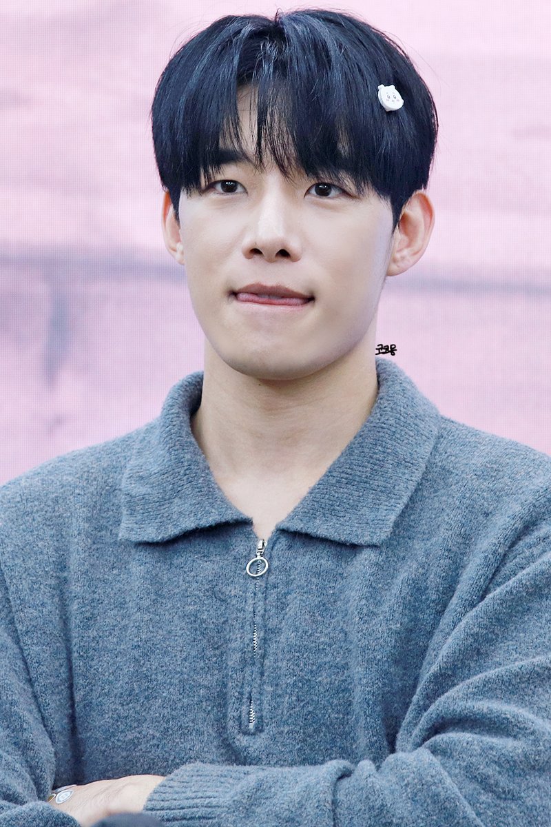 사진찍는 코몽 tweet media