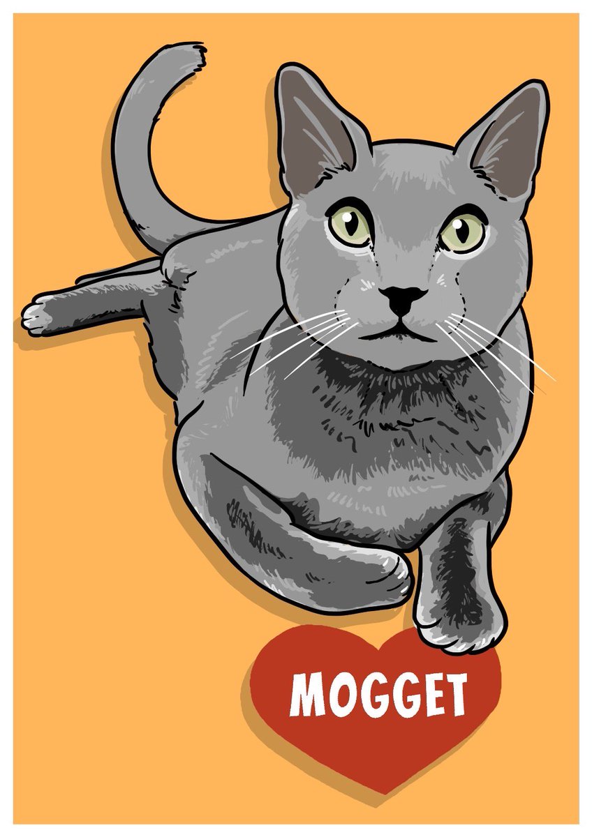 Rocío Torrejón 💫 tweet media