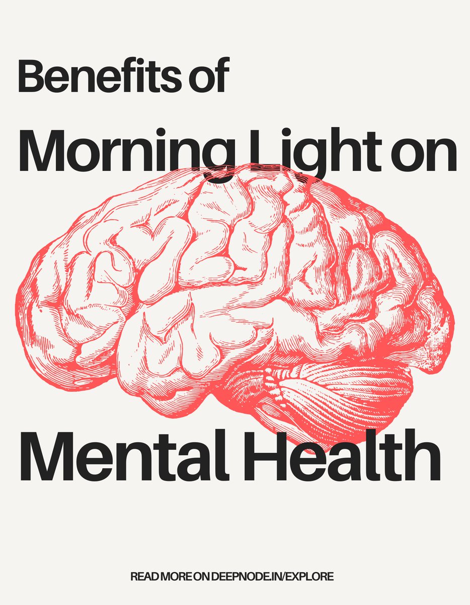 DeepNodee's tweet photo. Morning sunlight improves your mood, increases testosterone, metabolism &amp; is foundational to mental health. -@hubermanlab 

Here's summary from DeepNode on how light benefits  your mental health: https://t.co/8FkCUaPerT
Or explore more at https://t.co/yqZYaetFRz https://t.co/PBCOwHtgar