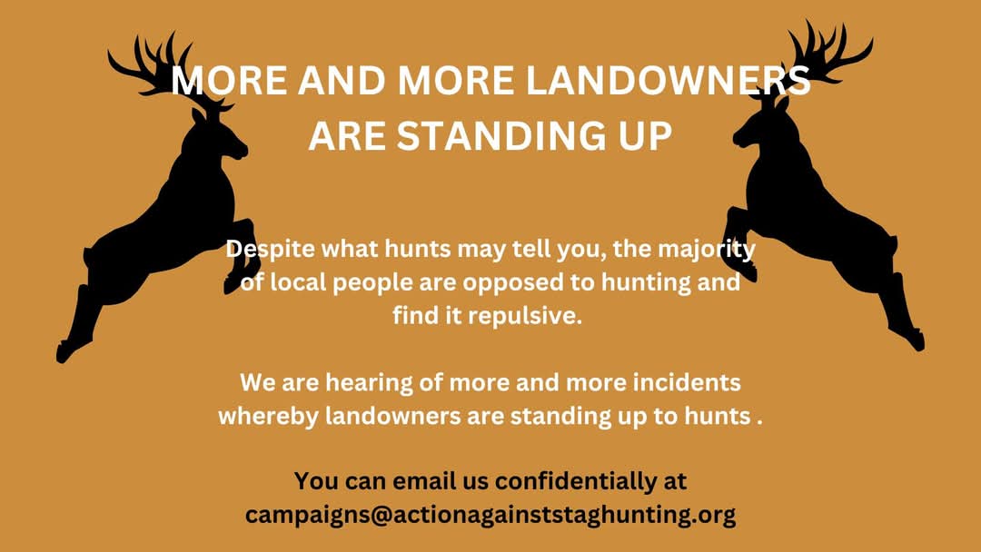 ActionAgainstS's tweet image. Are you a local landowner who has been or is being affected by stag hunting, then contact us confidentially at campaigns@actionagainststaghunting.org

You are not alone 🦌
