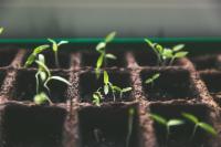 Nebraska Extension in Douglas-Sarpy Counties & 4H (@douglassarpyext) on Twitter photo Learn about gardening from local Extension experts!
Sat, Jan 18 from 9-10 am: Planning for a Productive Vegetable Garden
See more classes and how to register at
web.cvent.com/event/92f840d7…
<a href="/UNLExtension/">Nebraska Extension</a> Learn about gardening from local Extension experts!
Sat, Jan 18 from 9-10 am: Planning for a Productive Vegetable Garden
See more classes and how to register at
web.cvent.com/event/92f840d7…
<a href="/UNLExtension/">Nebraska Extension</a>