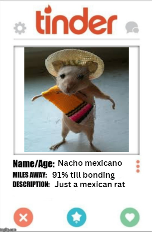 Nacho CTO tweet media