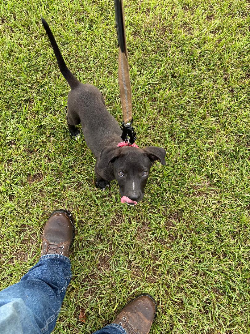 Shelly VR Warrior tweet media