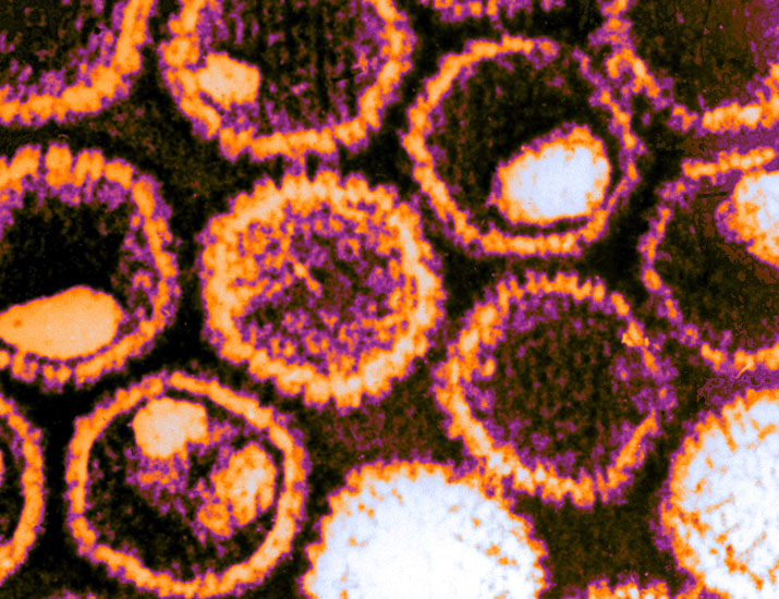 Science Magazine tweet media