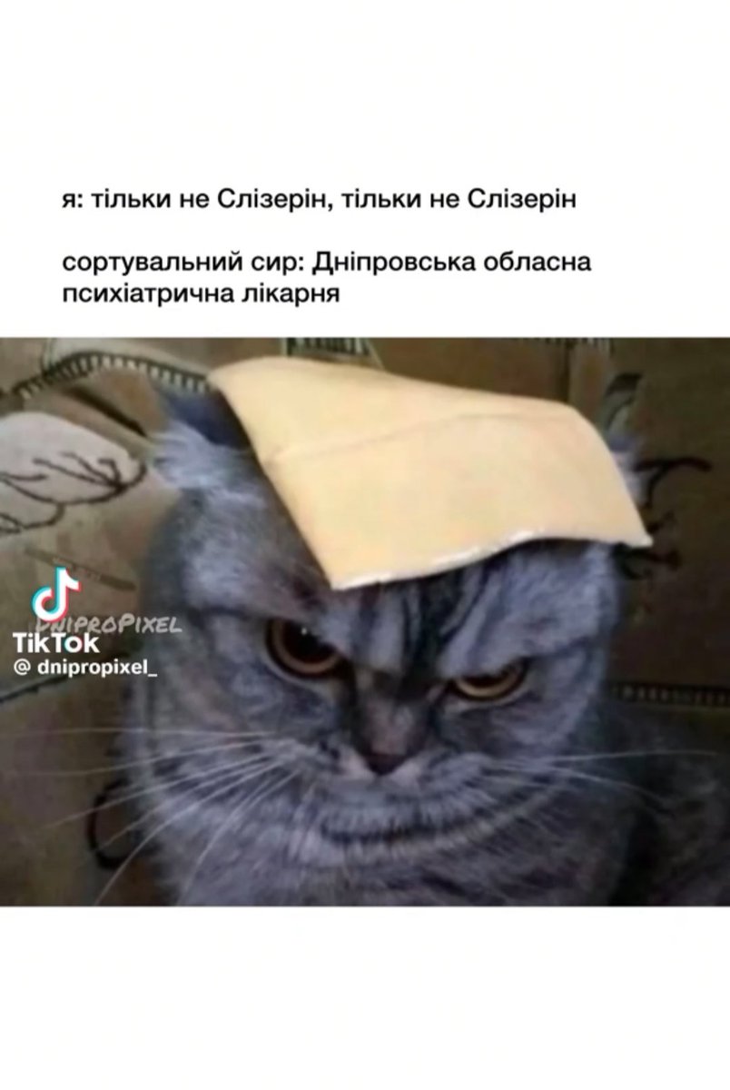dead_mad_cake's tweet photo. Я ��ерез два роки: https://t.co/0jllYn8Znw