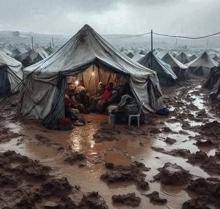 Gaza_Daily_News's tweet photo. https://t.co/ZSBwaYzhtN