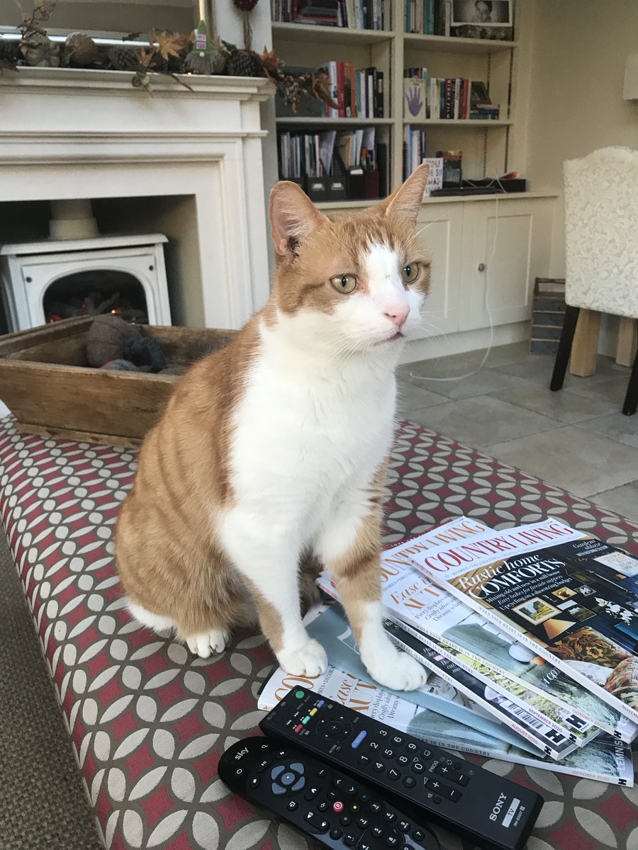 Mike Cattermole tweet media