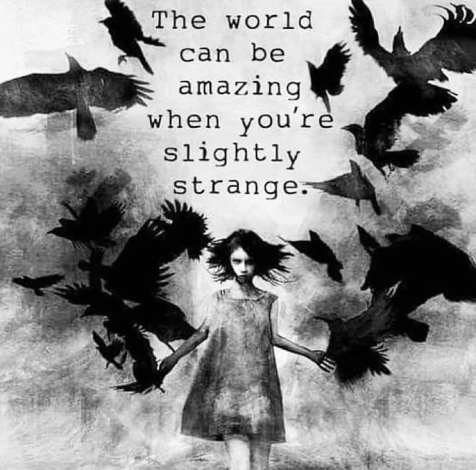 0ccultbot's tweet image. 