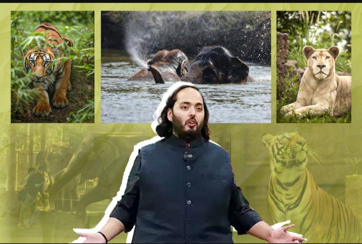 Anant Ambani recently unveiled the "Vantara" initiative, an ambitious animal welfare program launched by Reliance Industries and the Reliance Foundation.
 #anantdadadt #vantara
