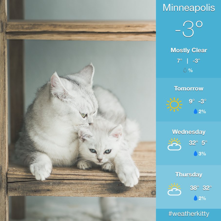 Janine Munson tweet media