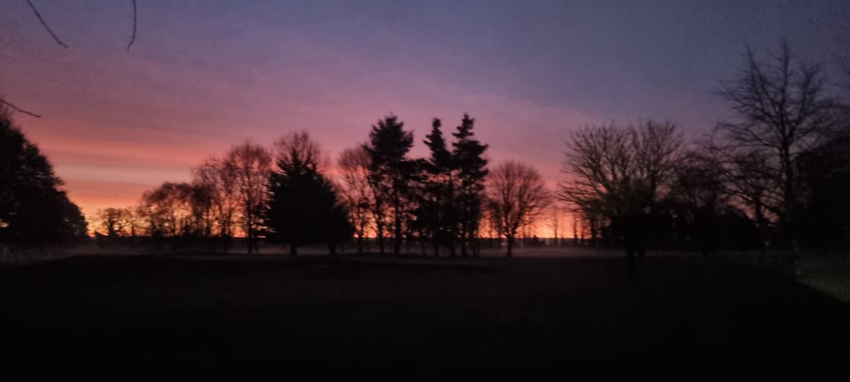 Black Bush Golf Club tweet media