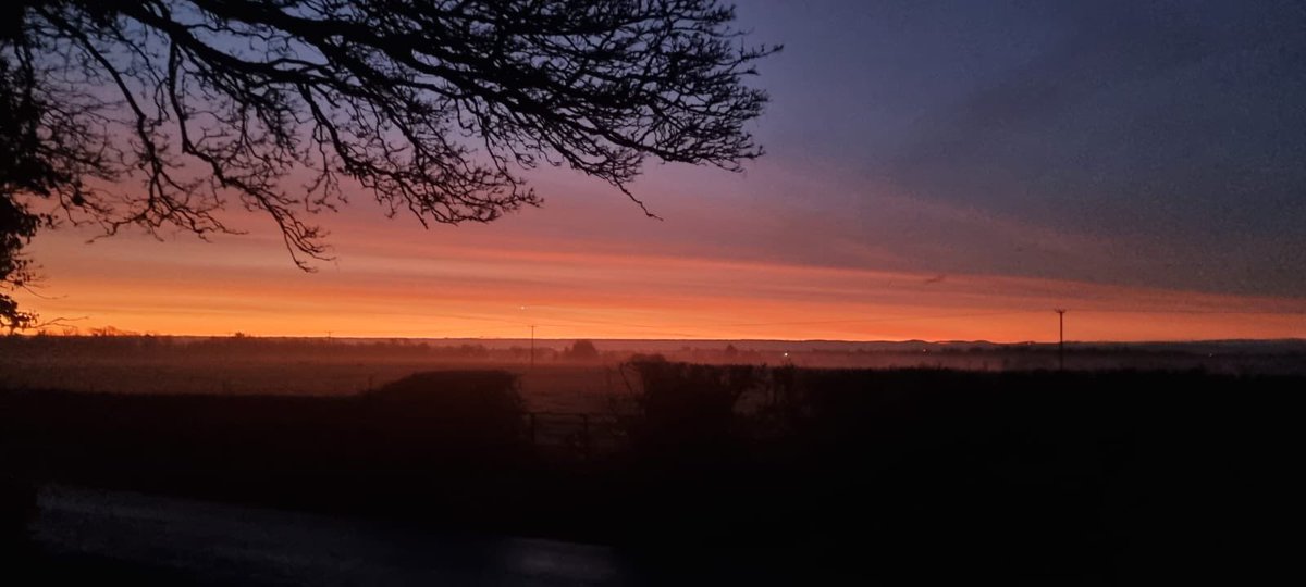 Black Bush Golf Club tweet media