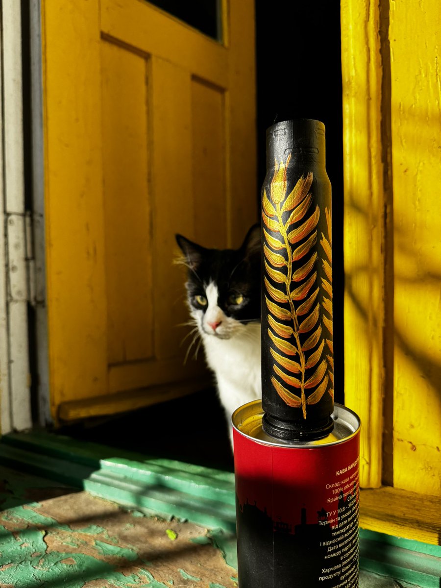 Lila Trokhymets🇺🇦🐆🐾 tweet media