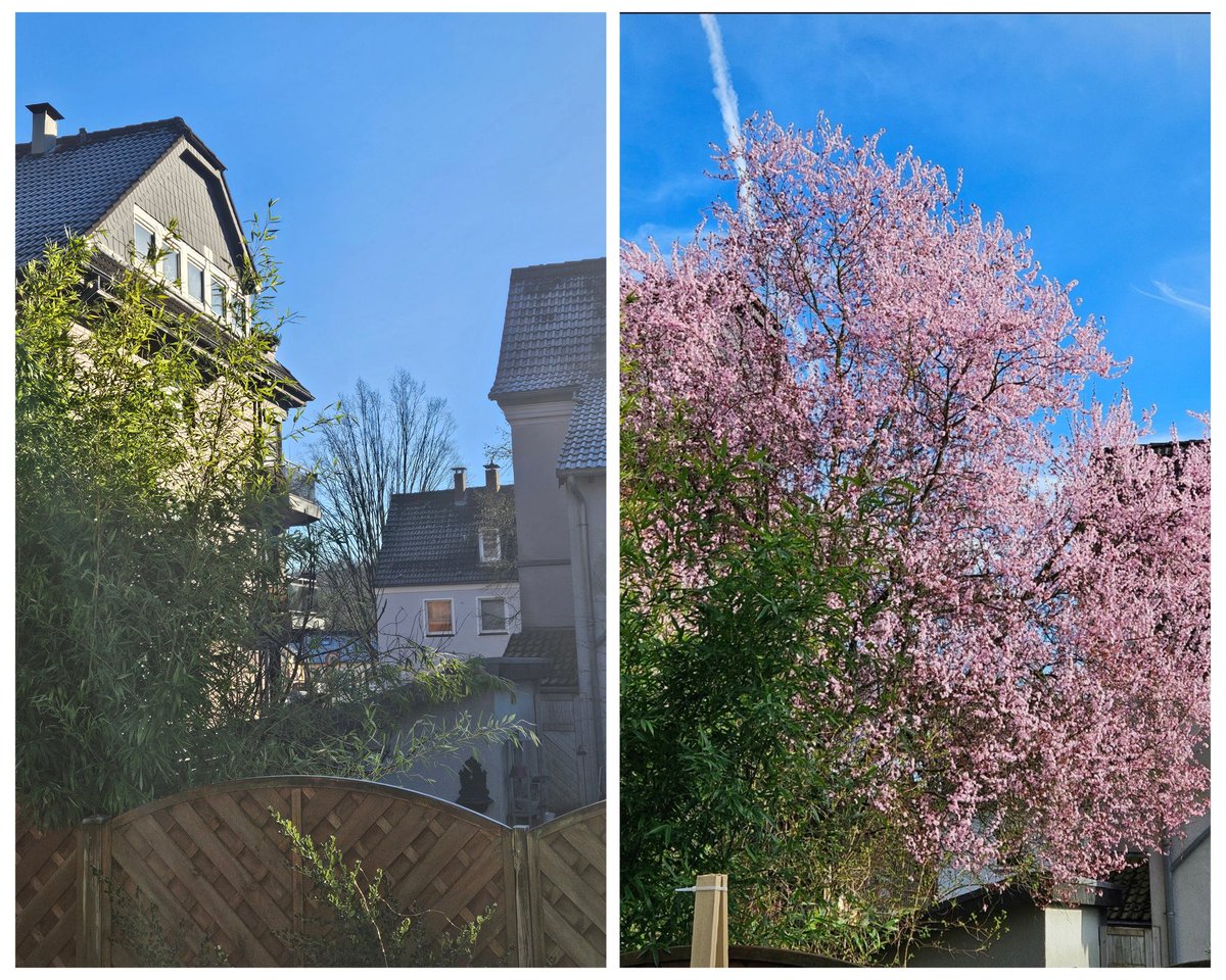 TheBossRoss 🇪🇺 🧶 ❄ 📷 6x💉 tweet media