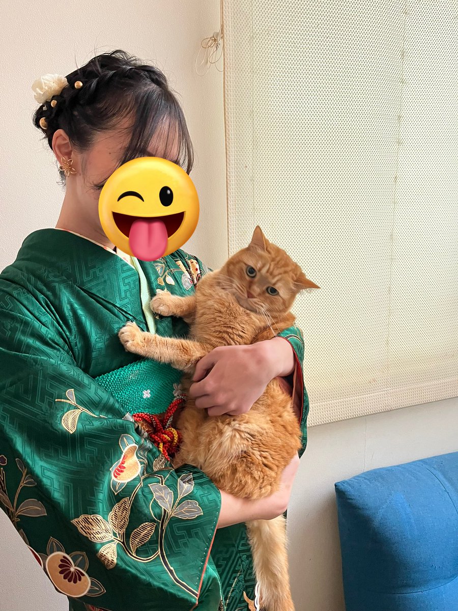 Ikanamiin's tweet photo. いかなみも大人です https://t.co/bclxsBUljO