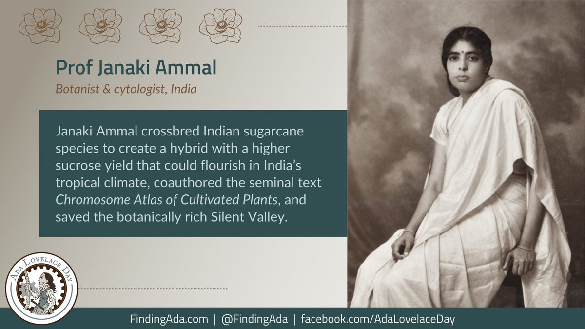 FindingAda's tweet photo. Janaki Ammal crossbred sugarcane species to create a hybrid with a higher sucrose yield that could flourish in India's tropical climate. She was instrumental in saving the botanically diverse Silent Valley in India.  https://t.co/1lg6jeDAWr https://t.co/tpL5B7TVfW
