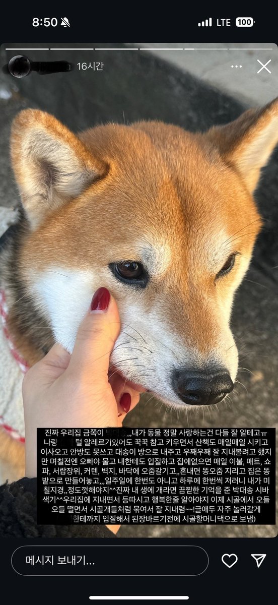 eeuu0912's tweet photo. 시바견 파양 SNS에 전시한 인플루언서 
된장바르네,죽이고싶네,시골에서 오들오들 떨면서 지내라는 등 파양전시에 이어 워딩까지 진짜 충격임 https://t.co/llqmIQtrs4