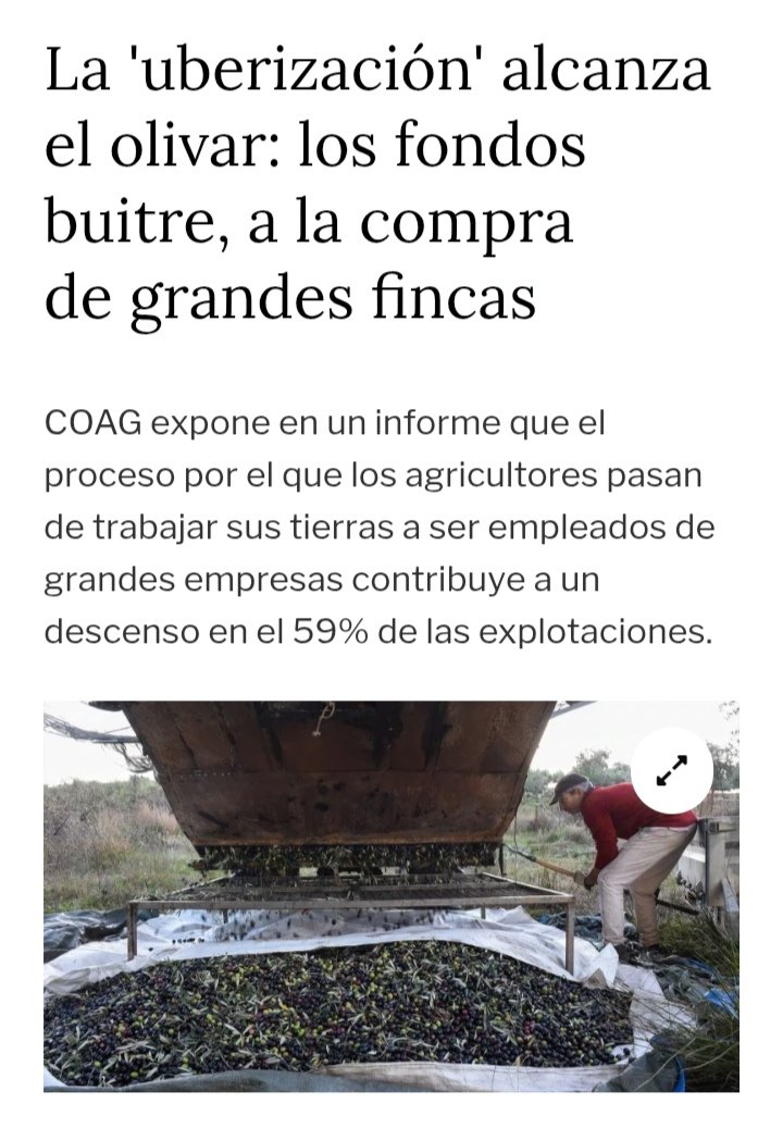 🧵CVC, Beka Finance edo Fiera Capital bezalako inbertsio funts handiek oliba olioan jarri dute arreta, eta 2024rarte produktu honen prezioaren igoera etengabea izan da honen ondorioetako bat. ⬇️