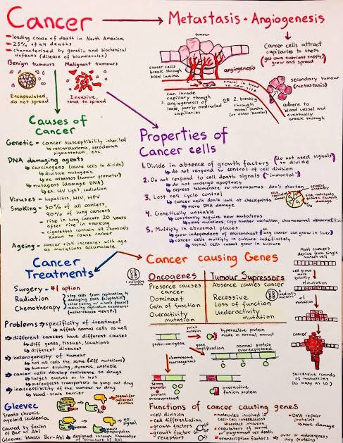 LifeInHistory's tweet photo. Cancer flow chart. https://t.co/p4aMY4OPtC