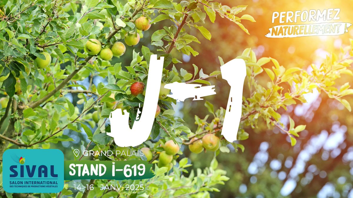 DESANGOSSE's tweet photo. 🎉 DE SANGOSSE au @SIVAL_ANGERS   : Performez naturellement !
📅Retrouvez-nous demain Stand 619, Allée I – Village du Biocontrôle.
🌿 Découvrez :
✔ Nos Biosolutions innovantes
✔ La Phytothérapie Agricole
✔ Des démonstrations exclusives
💬 Échangez avec nos experts pour façonner l’agriculture durable de demain !