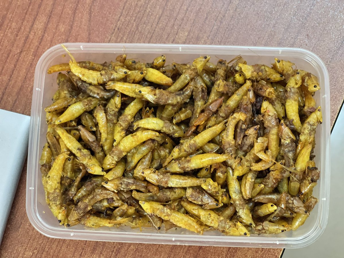 IshengomaIrene's tweet photo. #IshengomasSenene karibu ujiongezee protini mwilini kwa kula #Senene bora, tamu, fresh kutoka kwetu ✨🔥
Package kuanzia Tshs 10,000/=, 15,000/= na kuendelea.
☎️ 0679064914 Karibu tukuhudumie
🛵 Delivery inafanyika (utalipia).
NB: Bei ya #Senene sawa na #Bukoba ☺️ https://t.co/a4we9xluDx